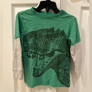 Carter's Toddler Boys Cute Dinosaur Applique Cotton Long Sleeve Top Green 4T